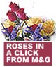 Buy flowers online